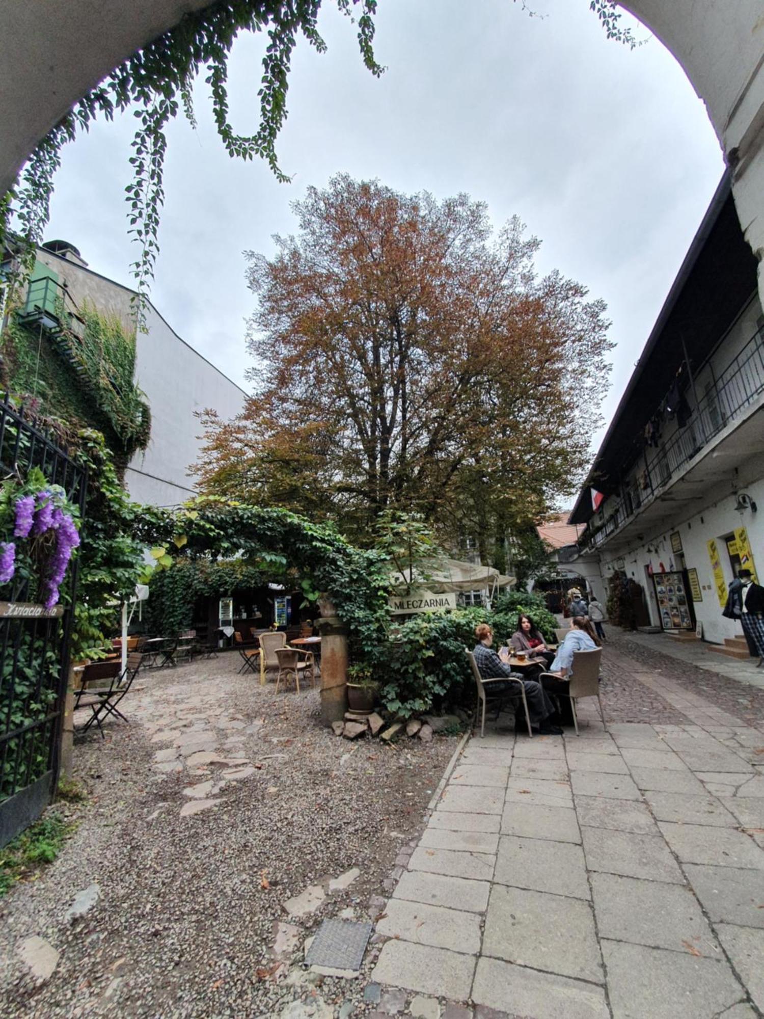 B-4 Krakow Stary Kazimierz O&P Apartfamily Exteriör bild